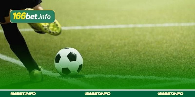 Acompanhe a Aposta ao Vivo (Live)