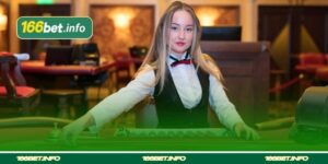 Casino Live Dealer Guia 