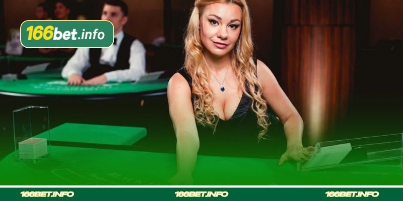 Dicas Importantes ao Participar do Casino Live Dealer