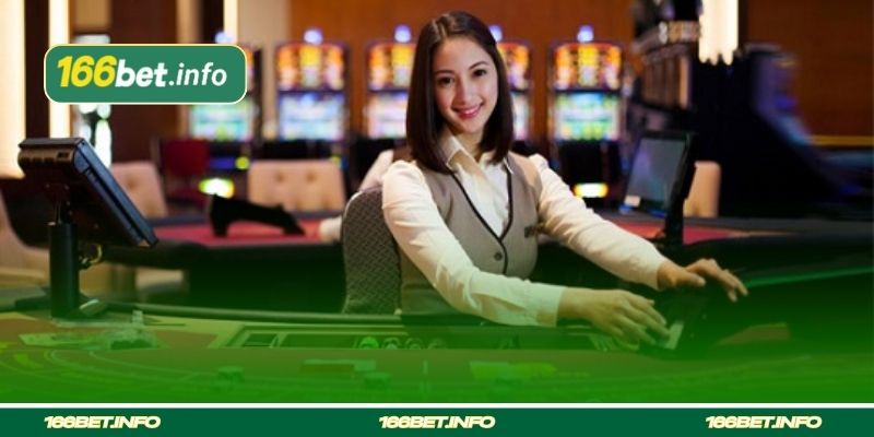 Visão Geral da Modalidade Live Dealer no Casino